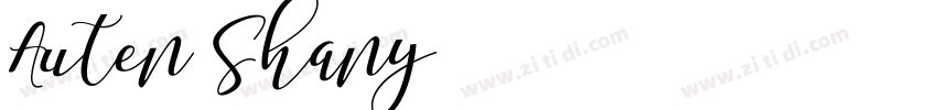 Auten Shany字体转换